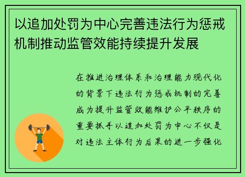 以追加处罚为中心完善违法行为惩戒机制推动监管效能持续提升发展 以追加处罚为中心完善违法行为惩戒机制推动监管效能持续提升发展
